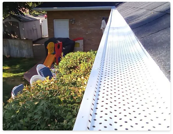 Roof Leaf Guards
