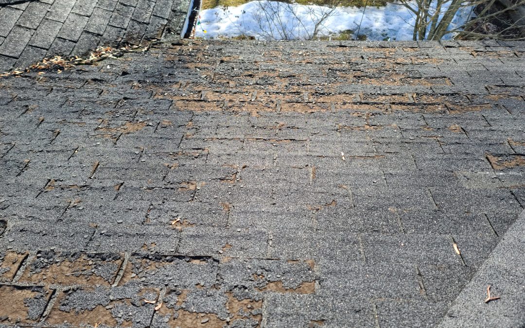 12 Signs You Need a New Roof for Your Home
