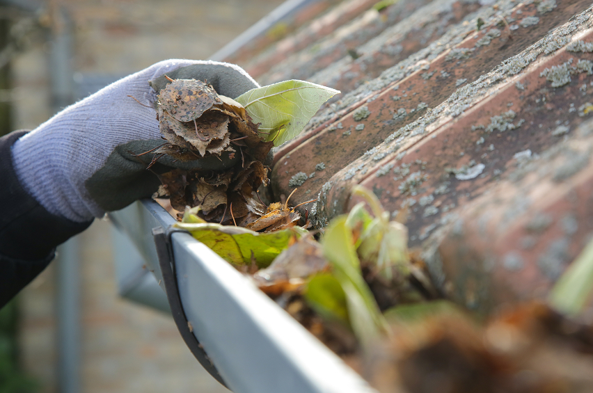 How to Clean Gutters: The Complete DIY Guide